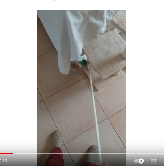 Michka sous le canapé Michka sous le canapé