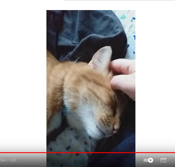 Coco en mode « guimauve » Coco en mode « guimauve »