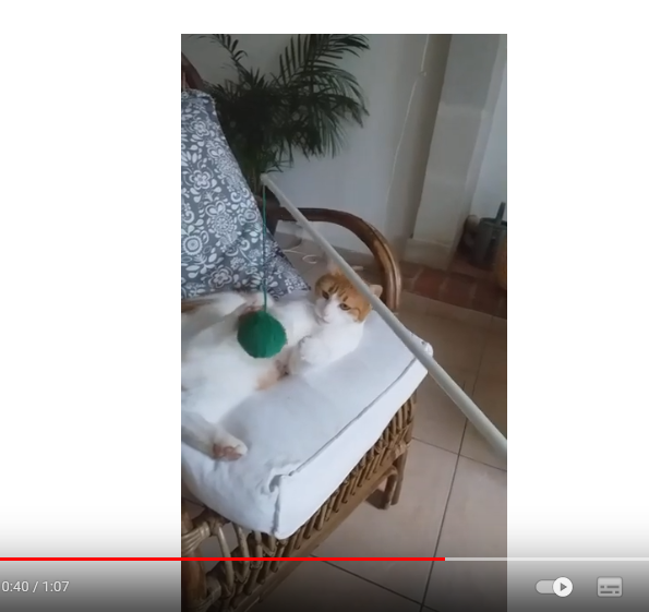 Michka la minette et son pompon vert Michka la minette et son pompon vert